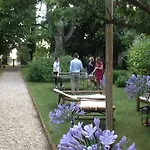 Casa Ariis * Clauiano