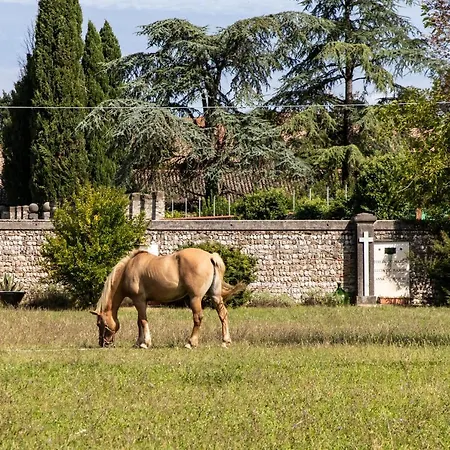Casa Ariis * Clauiano