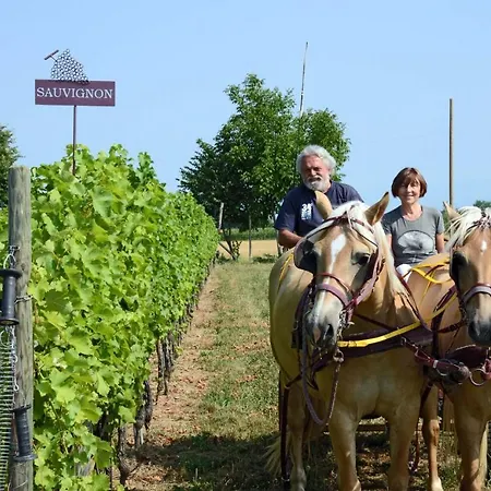 Casa Ariis Bed & Breakfast