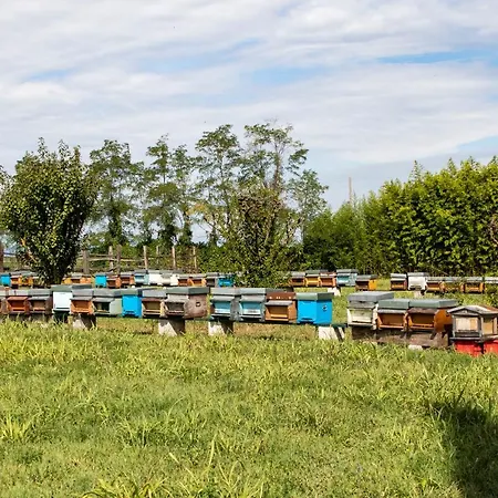 Casa Ariis * Clauiano