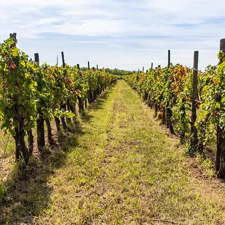 Casa Ariis Bed & Breakfast