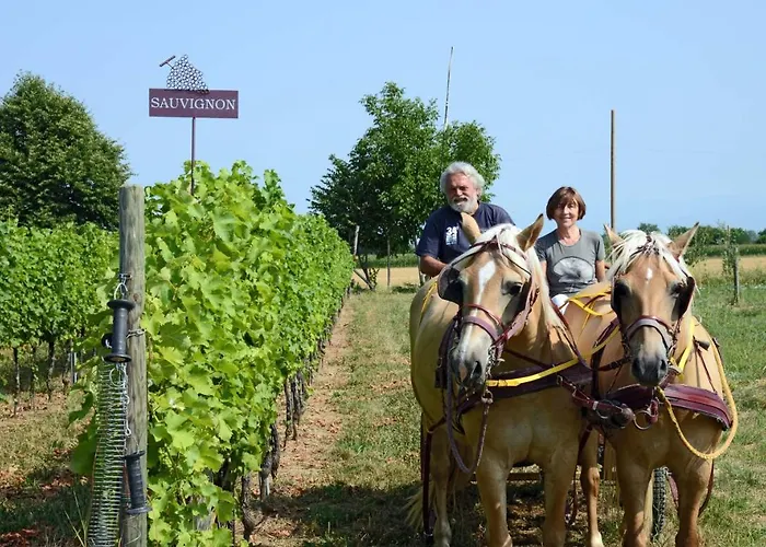 Casa Ariis Bed & Breakfast