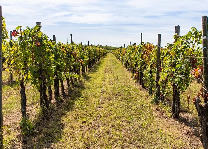 Casa Ariis Bed & Breakfast